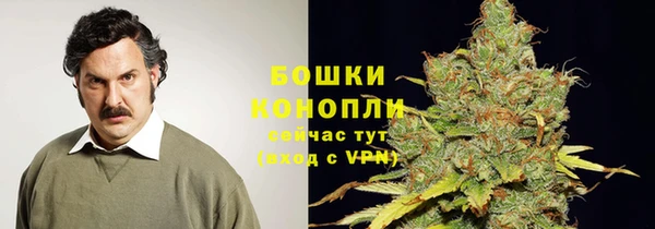твердый Медногорск