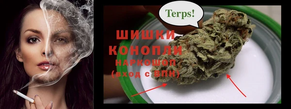 твердый Медногорск