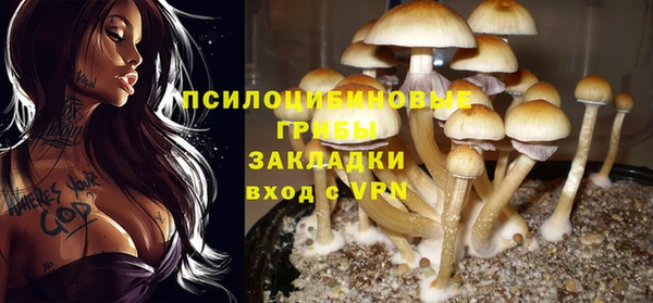 PSILOCYBIN Балашиха